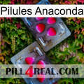 Anaconda Pills 15